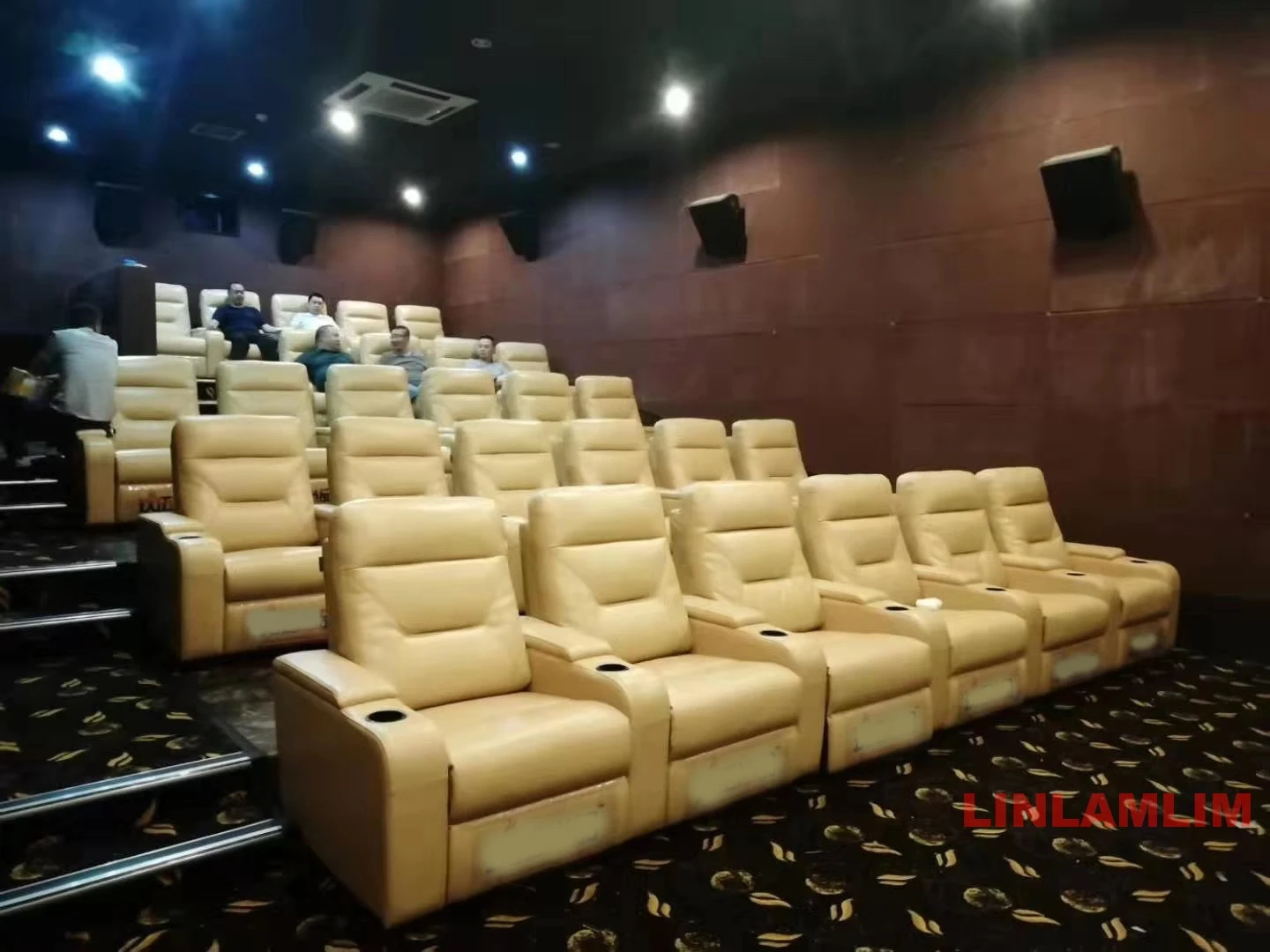 Linlamlim Genuine Leather Sofa - Home Cinema Couch review and price